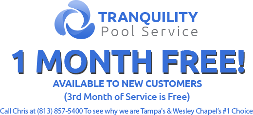 1 Month Free!, Available to New Customers (3rd Month of Service is Free)